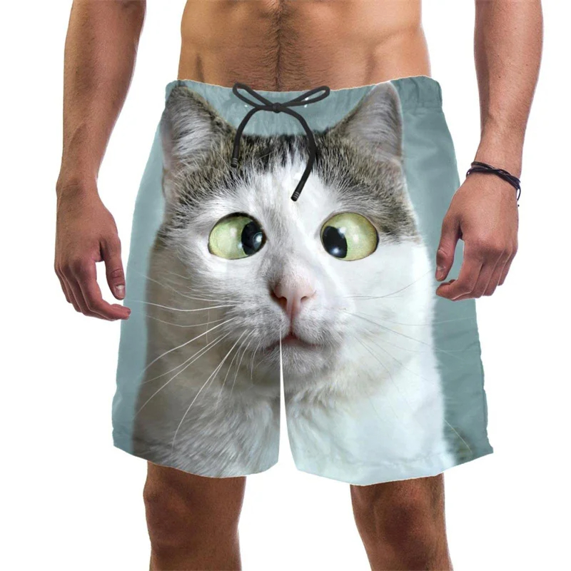 Trunks Board Surf - 3d baskı komik kedi plaj şortu