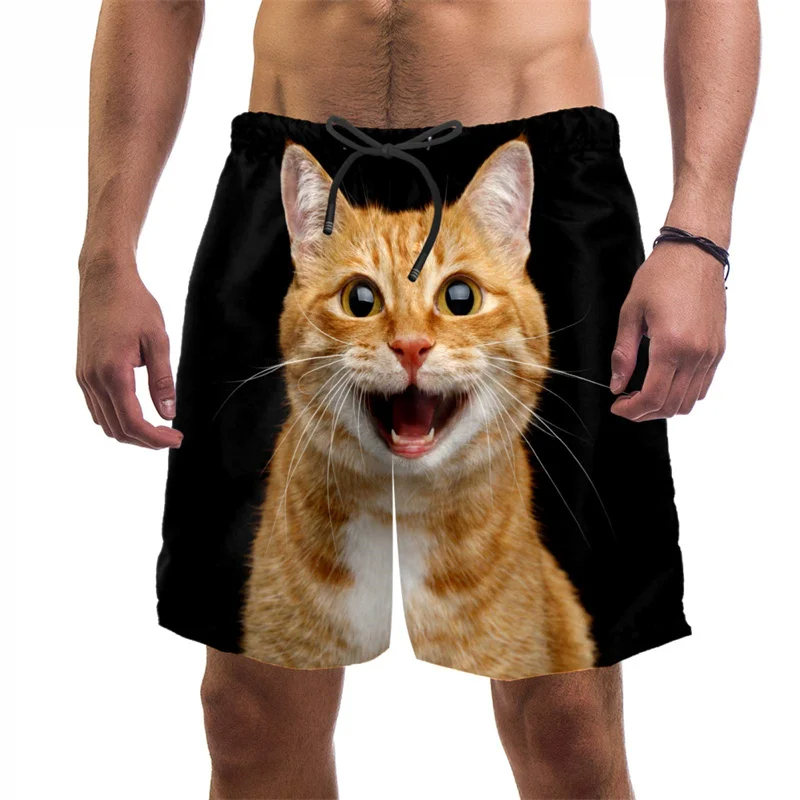 3d baskı komik kedi plaj şortu - Trunks Board Surf incelemesi ve fiyatı